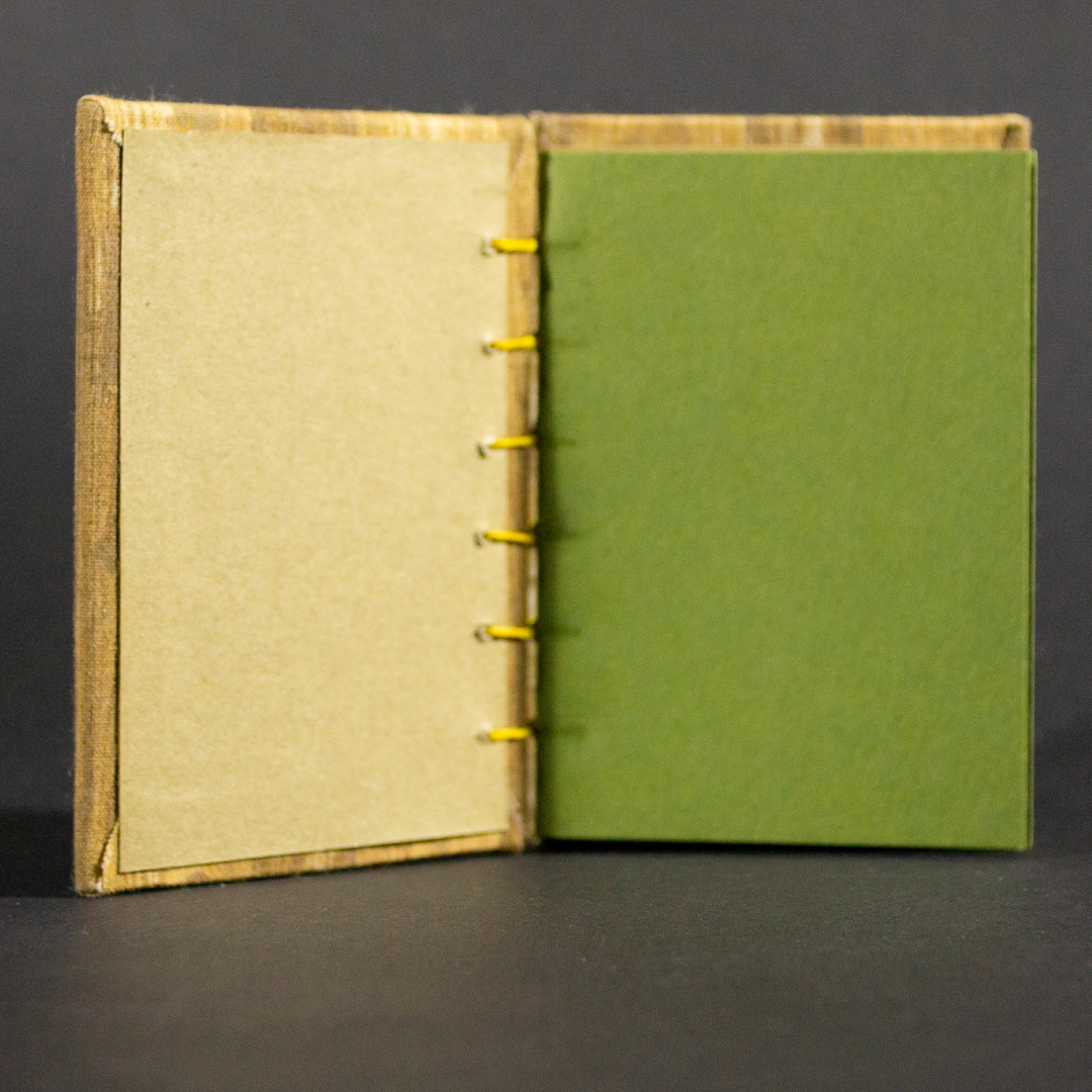 Insides of wood floor Coptic book showing green cardstock pages and ivory end pages