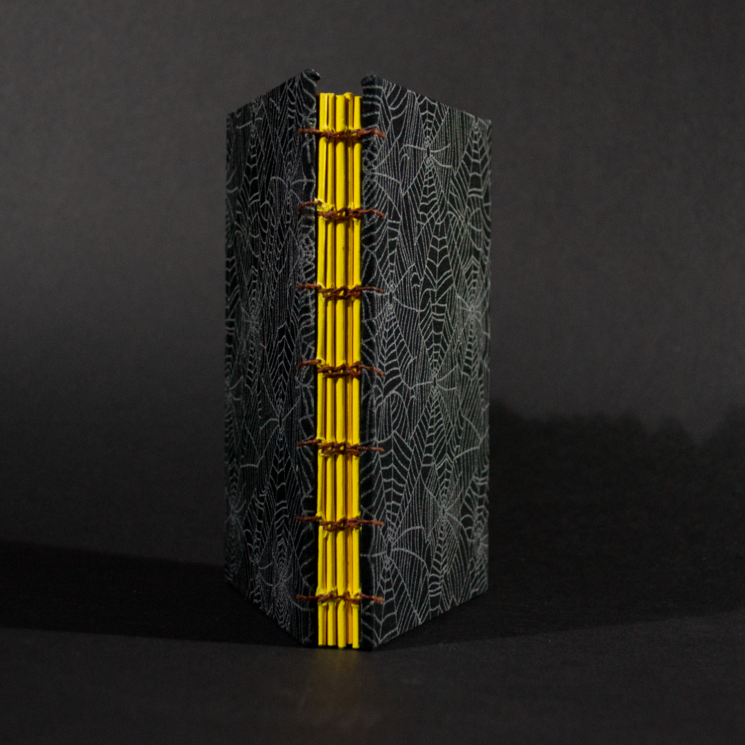 Spine view of cobwebs octavo Coptic book