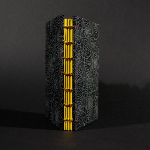 Spine view of cobwebs octavo Coptic book